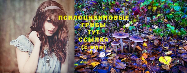 эйфоретик Алзамай